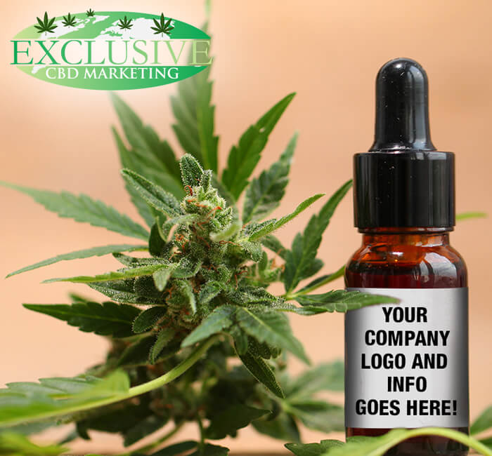 CBD Tinxtures